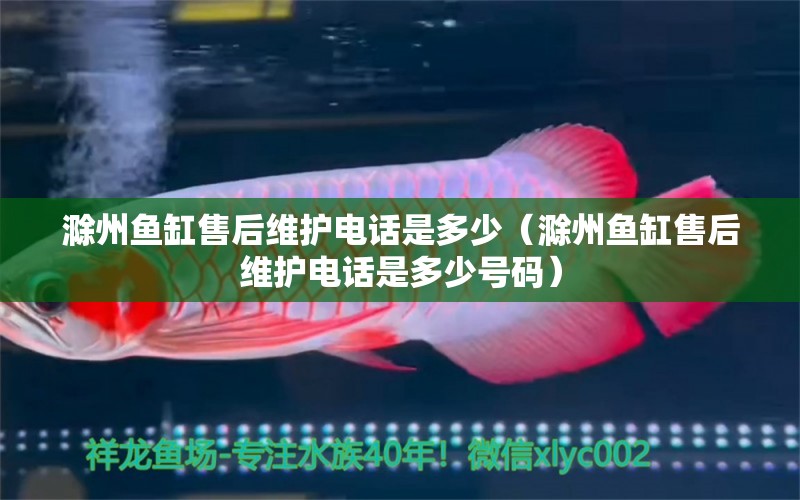 滁州魚缸售后維護(hù)電話是多少（滁州魚缸售后維護(hù)電話是多少號碼） 其他品牌魚缸