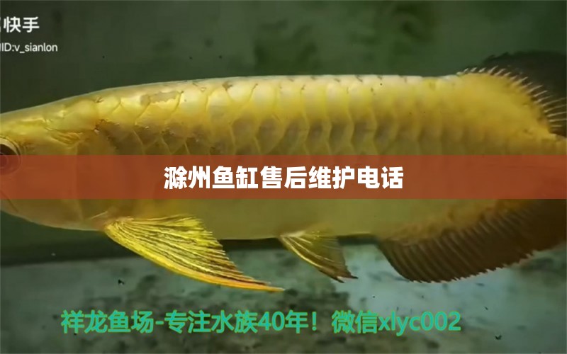 滁州魚(yú)缸售后維護(hù)電話 其他品牌魚(yú)缸