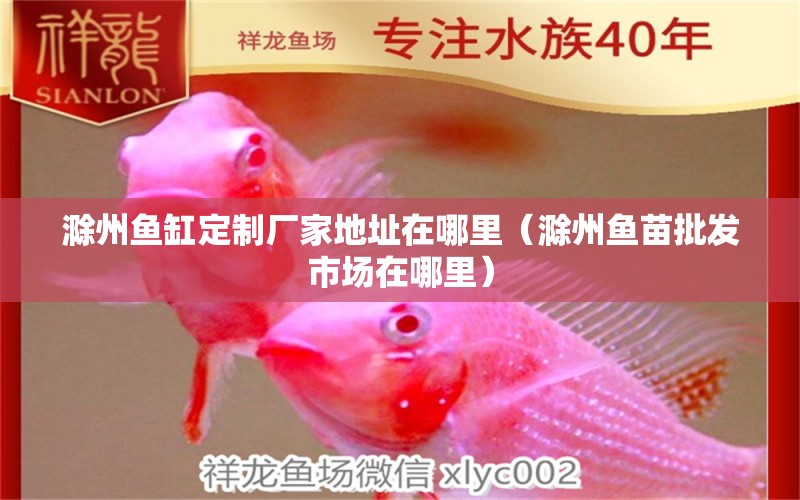 滁州魚缸定制廠家地址在哪里（滁州魚苗批發(fā)市場在哪里）