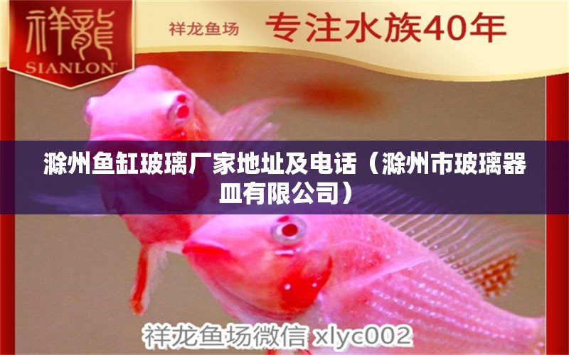 滁州魚缸玻璃廠家地址及電話（滁州市玻璃器皿有限公司） 熱帶魚魚苗批發(fā)