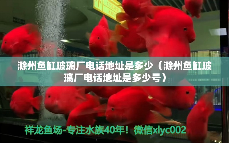 滁州魚缸玻璃廠電話地址是多少（滁州魚缸玻璃廠電話地址是多少號）