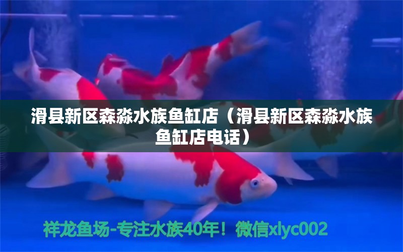 滑縣新區(qū)森淼水族魚缸店（滑縣新區(qū)森淼水族魚缸店電話）