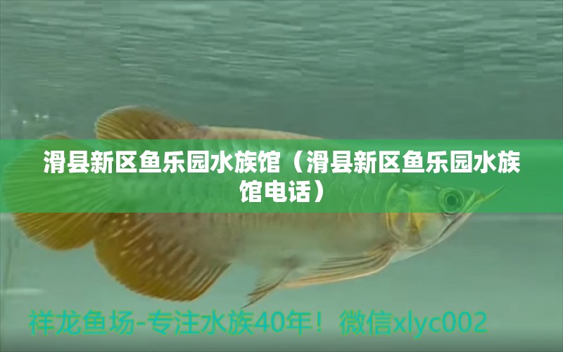 滑縣新區(qū)魚樂園水族館（滑縣新區(qū)魚樂園水族館電話）