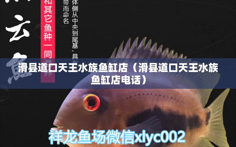 滑縣道口天王水族魚(yú)缸店（滑縣道口天王水族魚(yú)缸店電話(huà)）