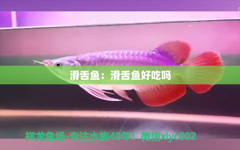 滑舌魚(yú)：滑舌魚(yú)好吃嗎