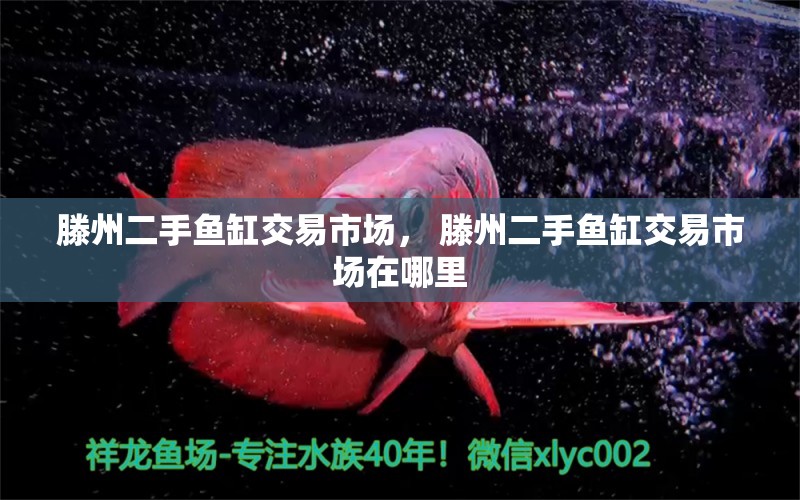 滕州二手魚缸交易市場， 滕州二手魚缸交易市場在哪里