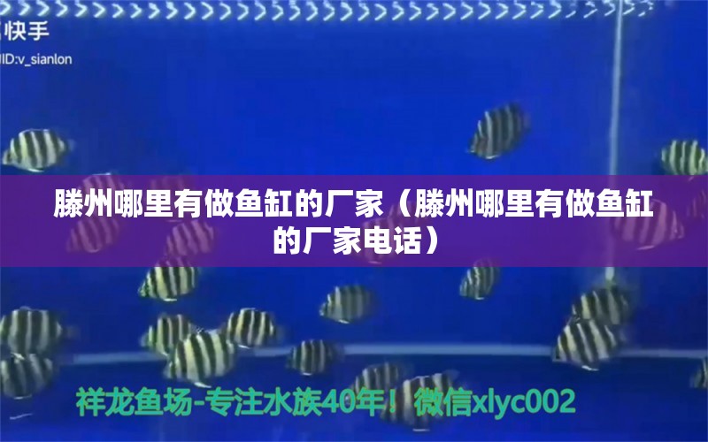 滕州哪里有做魚缸的廠家（滕州哪里有做魚缸的廠家電話） 祥龍水族醫(yī)院