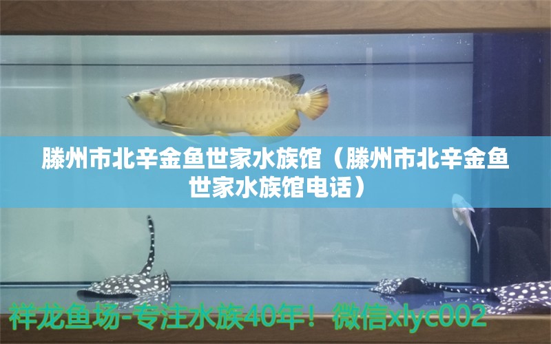 滕州市北辛金魚世家水族館（滕州市北辛金魚世家水族館電話） 全國水族館企業(yè)名錄