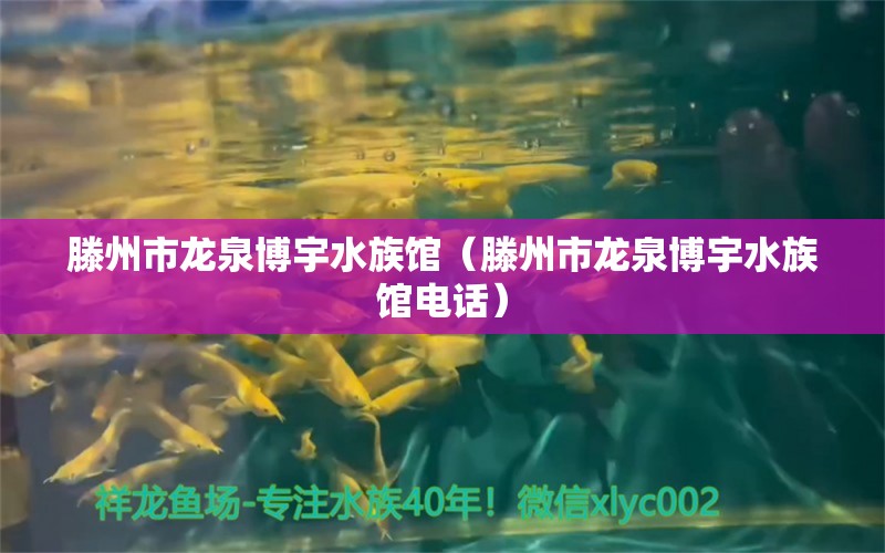 滕州市龍泉博宇水族館（滕州市龍泉博宇水族館電話）