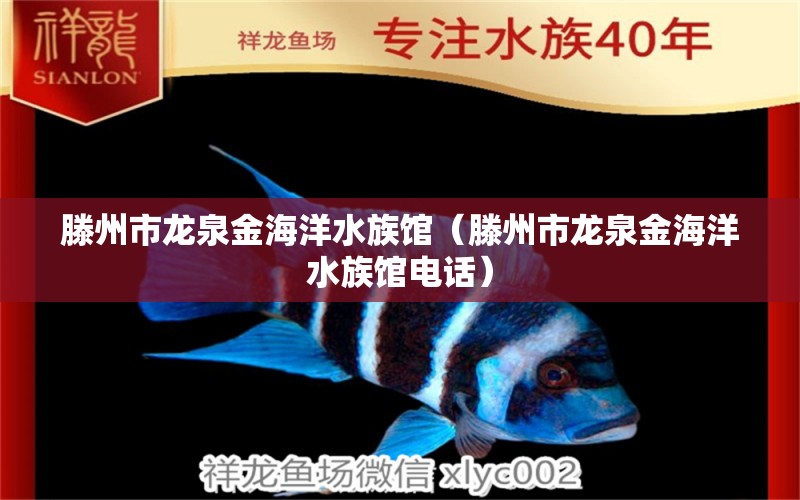 滕州市龍泉金海洋水族館（滕州市龍泉金海洋水族館電話）