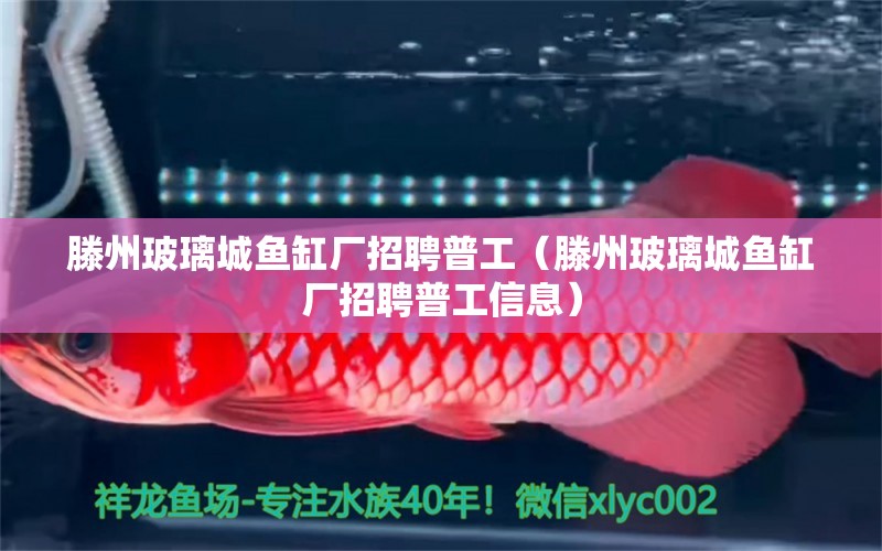 滕州玻璃城魚缸廠招聘普工（滕州玻璃城魚缸廠招聘普工信息）