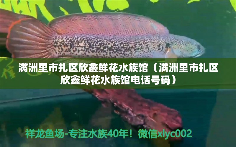 滿洲里市扎區(qū)欣鑫鮮花水族館（滿洲里市扎區(qū)欣鑫鮮花水族館電話號碼）