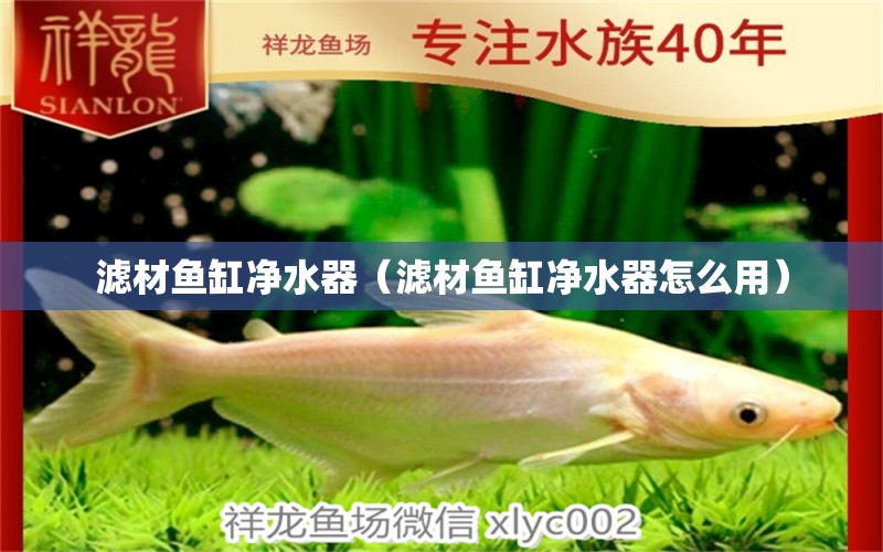 濾材魚缸凈水器（濾材魚缸凈水器怎么用） 祥龍進口元寶鳳凰魚