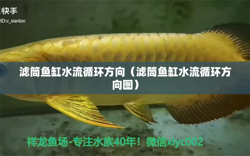 濾筒魚缸水流循環(huán)方向（濾筒魚缸水流循環(huán)方向圖）