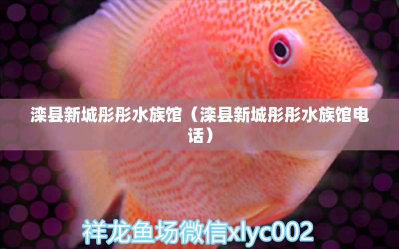 灤縣新城彤彤水族館（灤縣新城彤彤水族館電話）