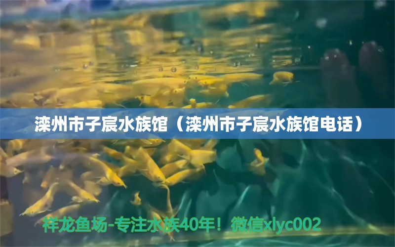 灤州市子宸水族館（灤州市子宸水族館電話） 全國水族館企業(yè)名錄