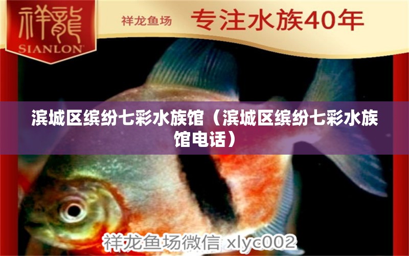 濱城區(qū)繽紛七彩水族館（濱城區(qū)繽紛七彩水族館電話） 全國水族館企業(yè)名錄