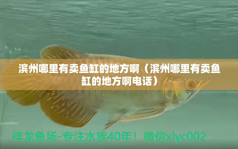 濱州哪里有賣魚缸的地方?。I州哪里有賣魚缸的地方啊電話）