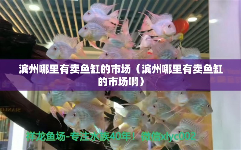 濱州哪里有賣魚缸的市場（濱州哪里有賣魚缸的市場?。?其他品牌魚缸