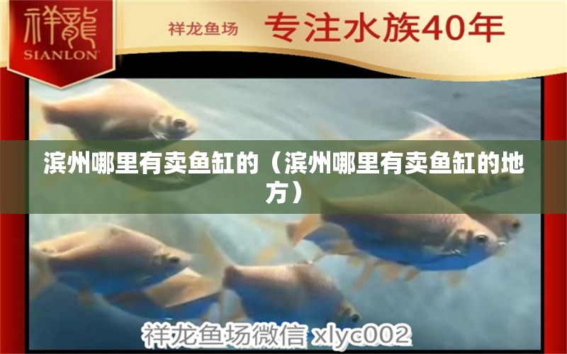 濱州哪里有賣魚(yú)缸的（濱州哪里有賣魚(yú)缸的地方）