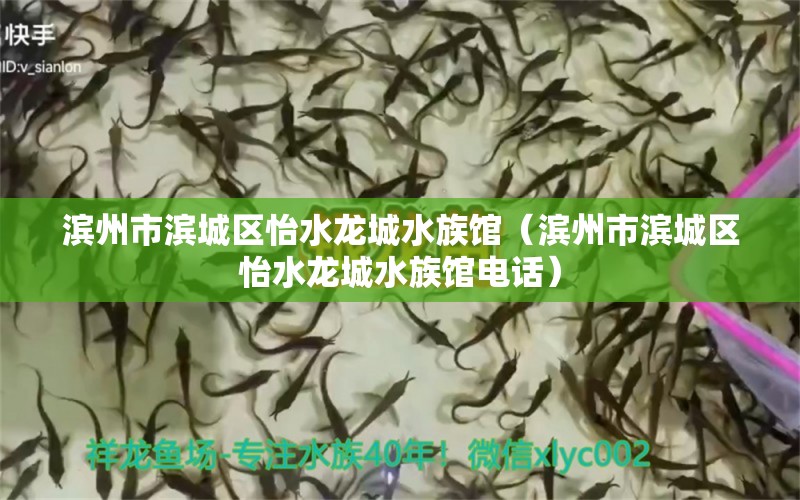 濱州市濱城區(qū)怡水龍城水族館（濱州市濱城區(qū)怡水龍城水族館電話）