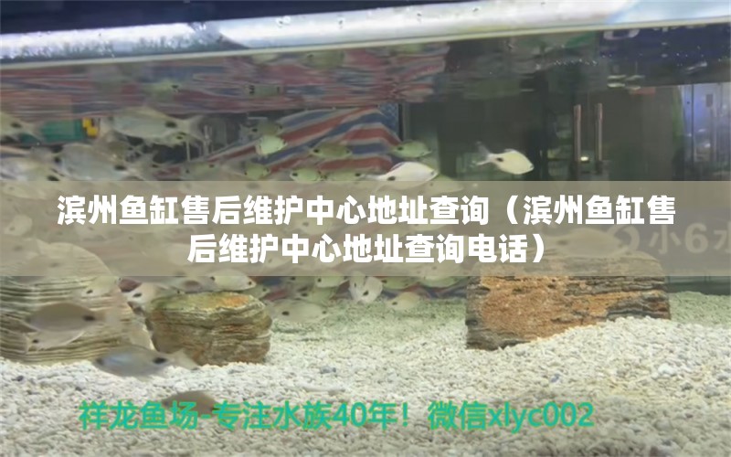 濱州魚(yú)缸售后維護(hù)中心地址查詢（濱州魚(yú)缸售后維護(hù)中心地址查詢電話）