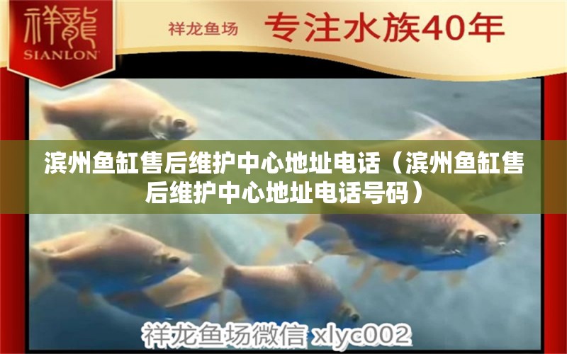 濱州魚(yú)缸售后維護(hù)中心地址電話（濱州魚(yú)缸售后維護(hù)中心地址電話號(hào)碼）