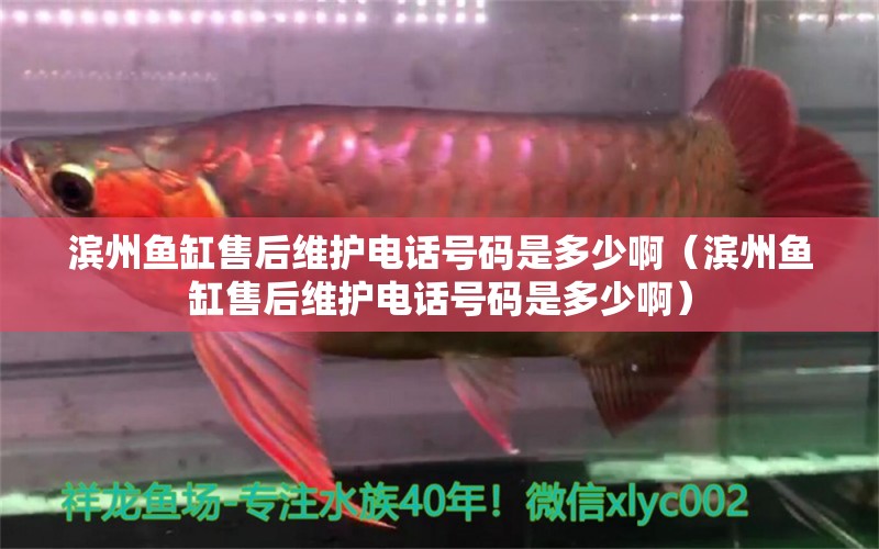 濱州魚(yú)缸售后維護(hù)電話號(hào)碼是多少?。I州魚(yú)缸售后維護(hù)電話號(hào)碼是多少?。? title=