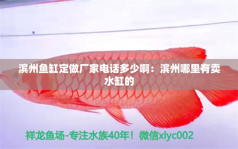 濱州魚(yú)缸定做廠家電話多少?。簽I州哪里有賣(mài)水缸的