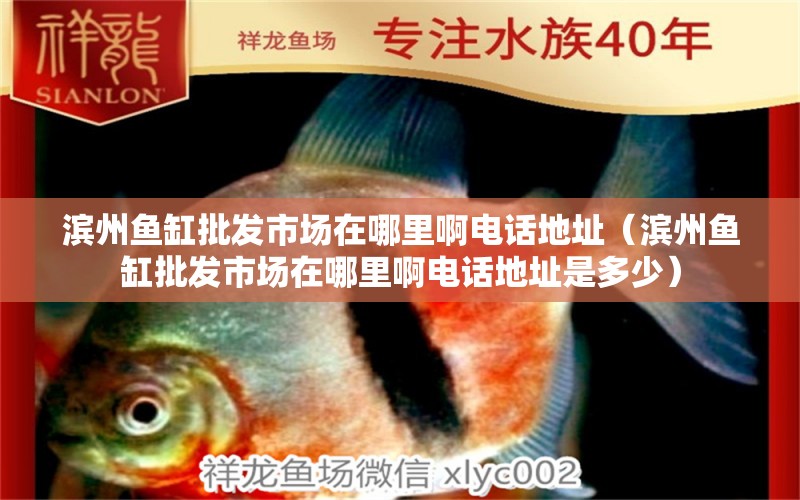 濱州魚(yú)缸批發(fā)市場(chǎng)在哪里啊電話地址（濱州魚(yú)缸批發(fā)市場(chǎng)在哪里啊電話地址是多少）