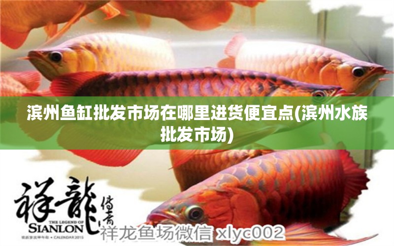 濱州魚缸批發(fā)市場(chǎng)在哪里進(jìn)貨便宜點(diǎn)(濱州水族批發(fā)市場(chǎng)) 觀賞魚水族批發(fā)市場(chǎng)