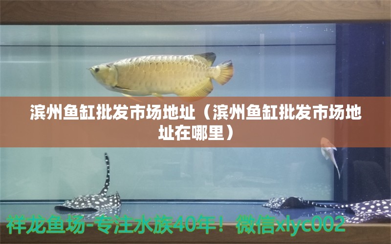 濱州魚缸批發(fā)市場地址（濱州魚缸批發(fā)市場地址在哪里）