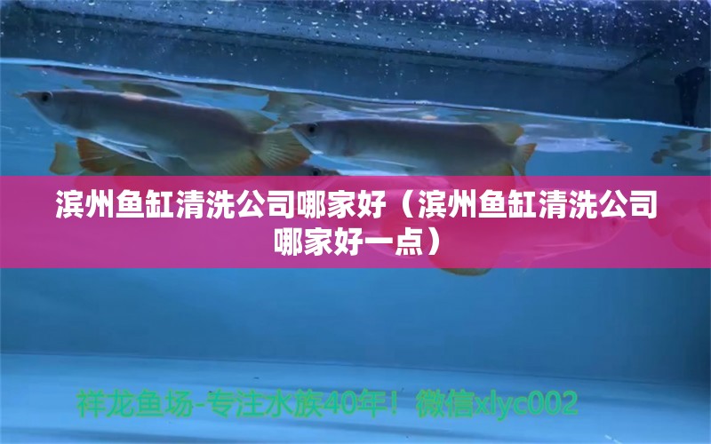 濱州魚缸清洗公司哪家好（濱州魚缸清洗公司哪家好一點）