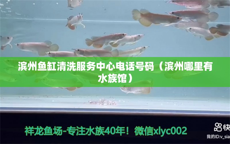 濱州魚缸清洗服務(wù)中心電話號碼（濱州哪里有水族館）