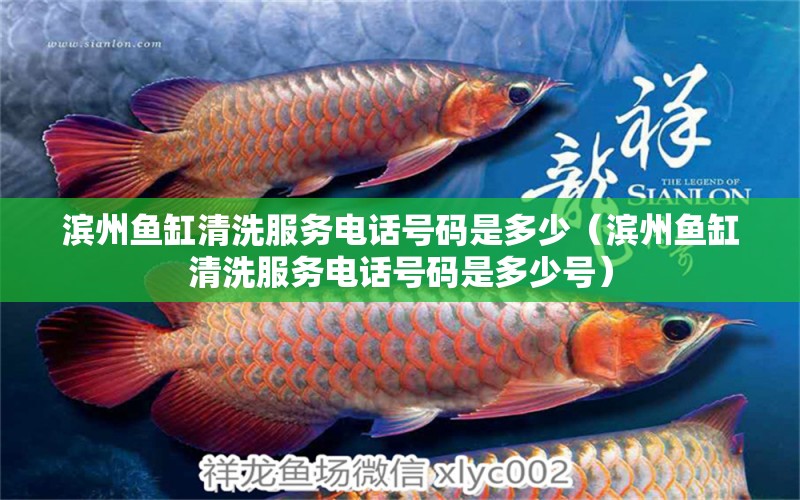 濱州魚缸清洗服務(wù)電話號碼是多少（濱州魚缸清洗服務(wù)電話號碼是多少號）