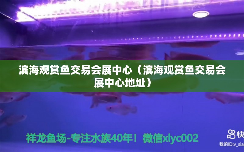 濱海觀賞魚交易會(huì)展中心（濱海觀賞魚交易會(huì)展中心地址） 南美異形觀賞魚