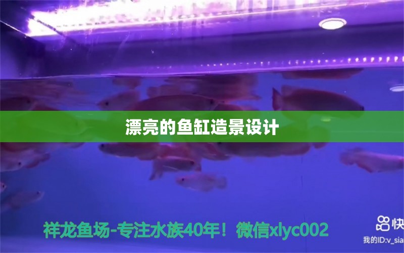 漂亮的魚缸造景設(shè)計 祥龍魚場