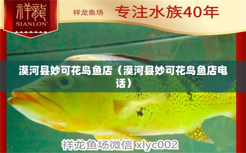 漠河縣妙可花鳥魚店（漠河縣妙可花鳥魚店電話）