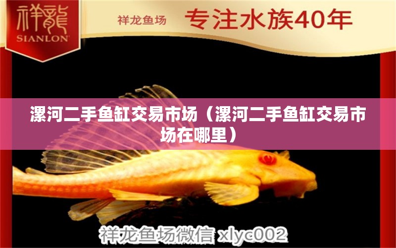 漯河二手魚缸交易市場（漯河二手魚缸交易市場在哪里） 其他品牌魚缸