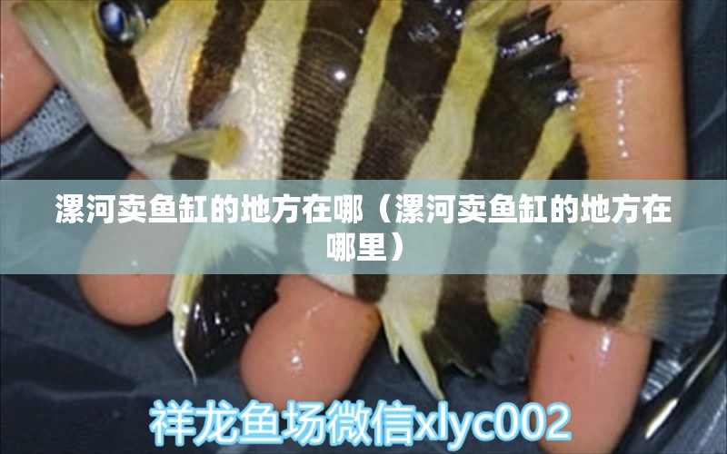 漯河賣魚缸的地方在哪（漯河賣魚缸的地方在哪里） 其他品牌魚缸