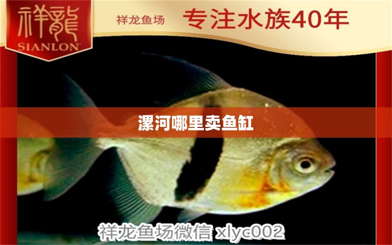 漯河哪里賣魚缸