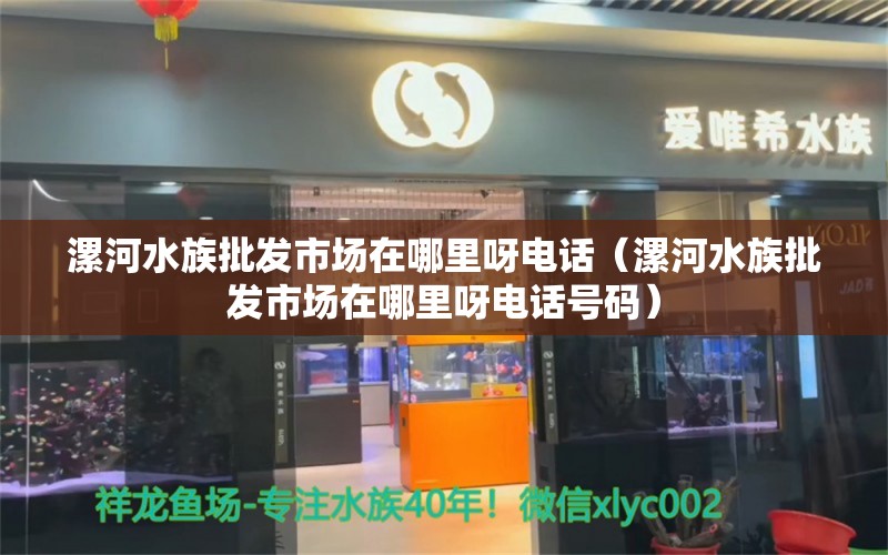 漯河水族批發(fā)市場在哪里呀電話（漯河水族批發(fā)市場在哪里呀電話號碼） 觀賞魚水族批發(fā)市場