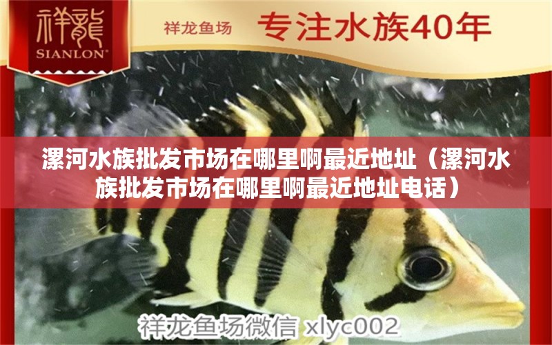 漯河水族批發(fā)市場在哪里啊最近地址（漯河水族批發(fā)市場在哪里啊最近地址電話） 觀賞魚水族批發(fā)市場