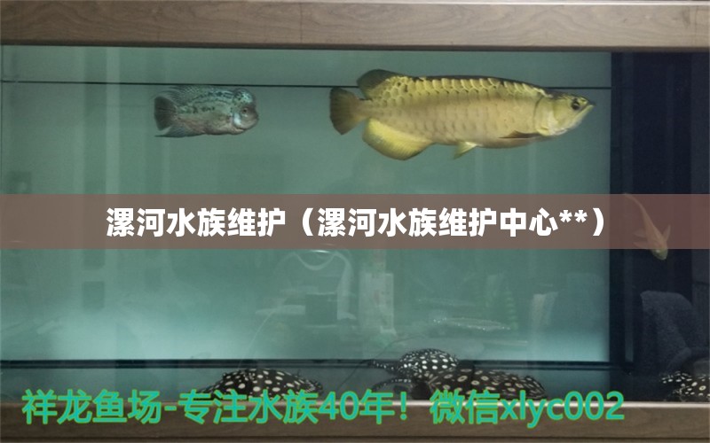 漯河水族維護(hù)（漯河水族維護(hù)中心**）