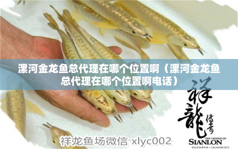 漯河金龍魚(yú)總代理在哪個(gè)位置?。ㄤ鸷咏瘕堲~(yú)總代理在哪個(gè)位置啊電話）