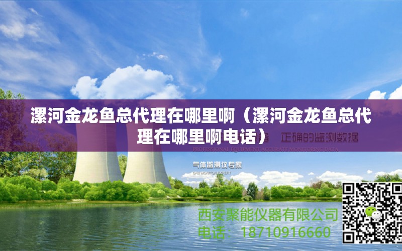 漯河金龍魚(yú)總代理在哪里?。ㄤ鸷咏瘕堲~(yú)總代理在哪里啊電話）