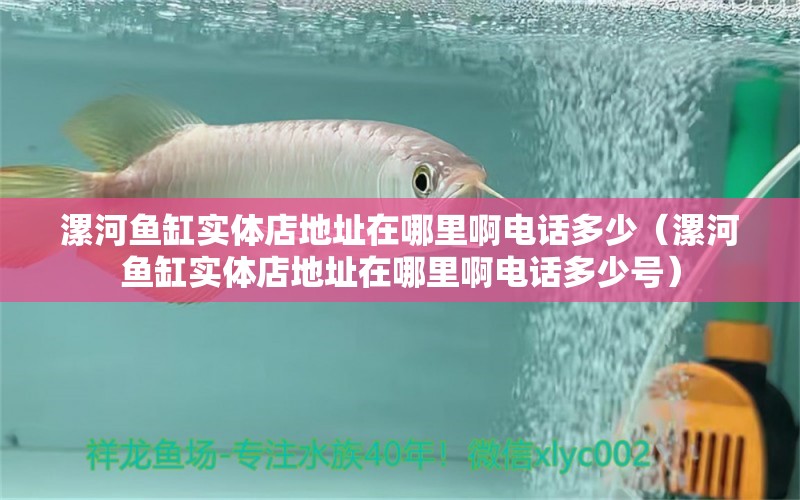 漯河魚缸實體店地址在哪里啊電話多少（漯河魚缸實體店地址在哪里啊電話多少號）