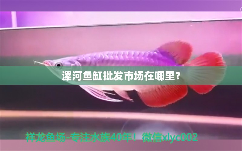 漯河魚缸批發(fā)市場(chǎng)在哪里？