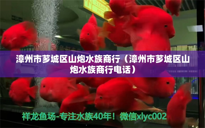 漳州市薌城區(qū)山炮水族商行（漳州市薌城區(qū)山炮水族商行電話） 全國水族館企業(yè)名錄