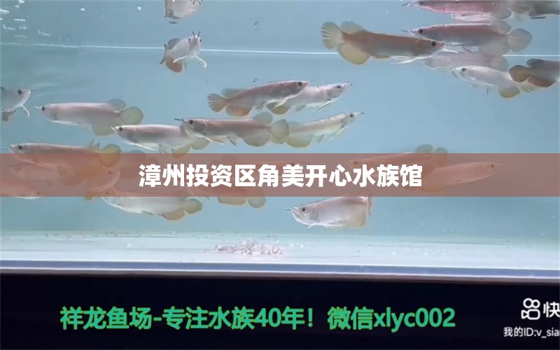 漳州投資區(qū)角美開心水族館